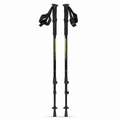 Paire de bâtons de marche nordique noir et vert réglables 100–130 cm